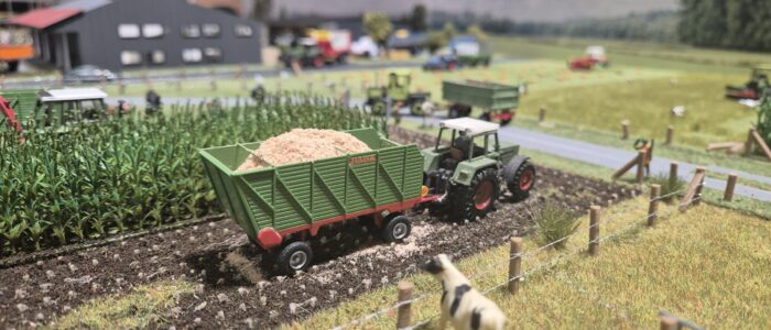 Ausstellung Tarm 2025 vom Diorama 1:87